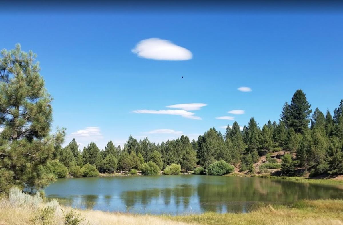 0.98 Acres for Sale in California Pines, California