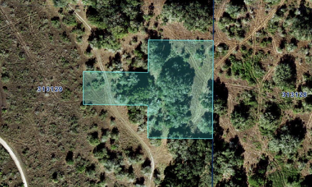 1.29 Acres for Sale in Frostproof, Florida
