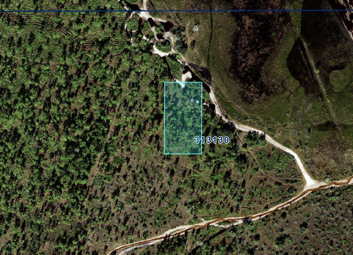 1.31 Acres for Sale in River Ranch, Florida