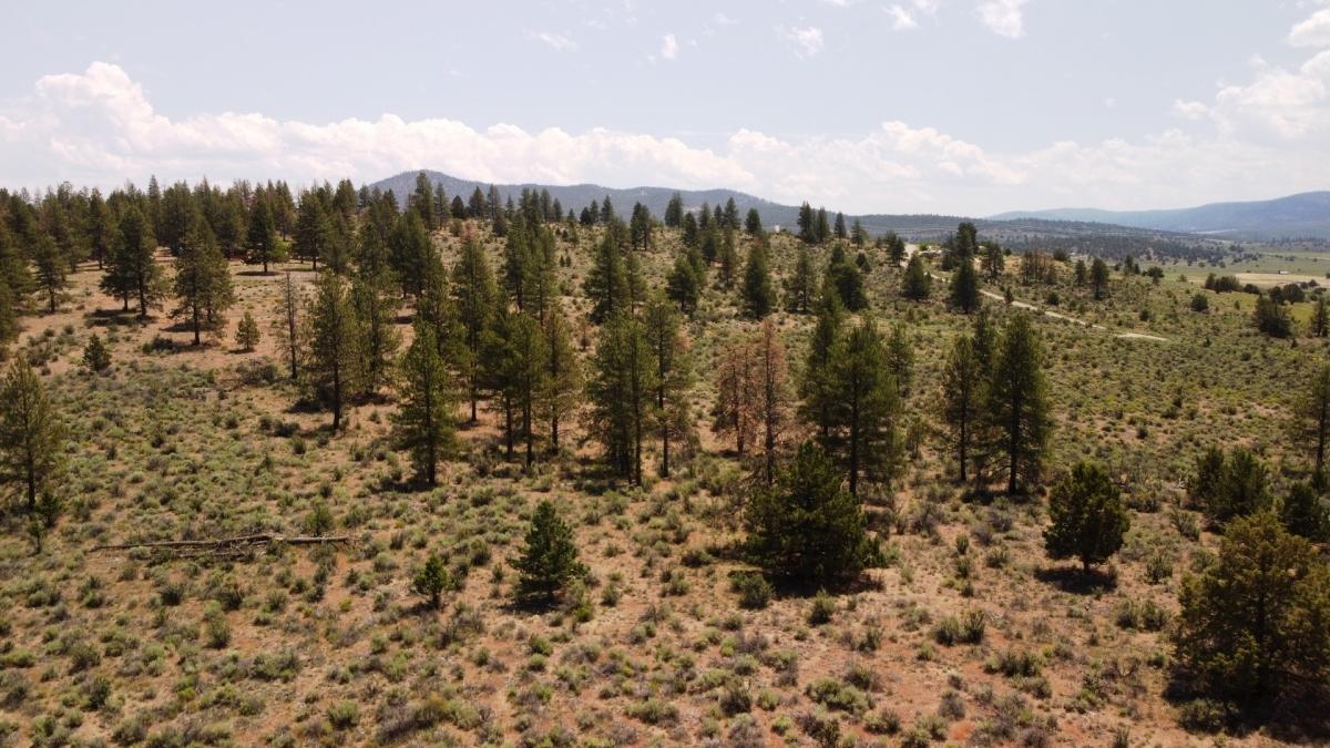 1.49 Acres for Sale in Beatty, Oregon