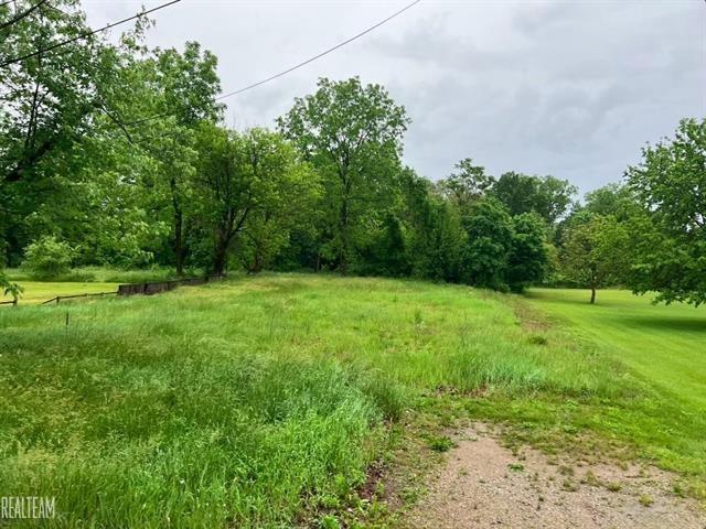 0.17 Acres for Sale in Flint, Michigan