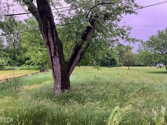 0.17 Acres for Sale in Flint, Michigan