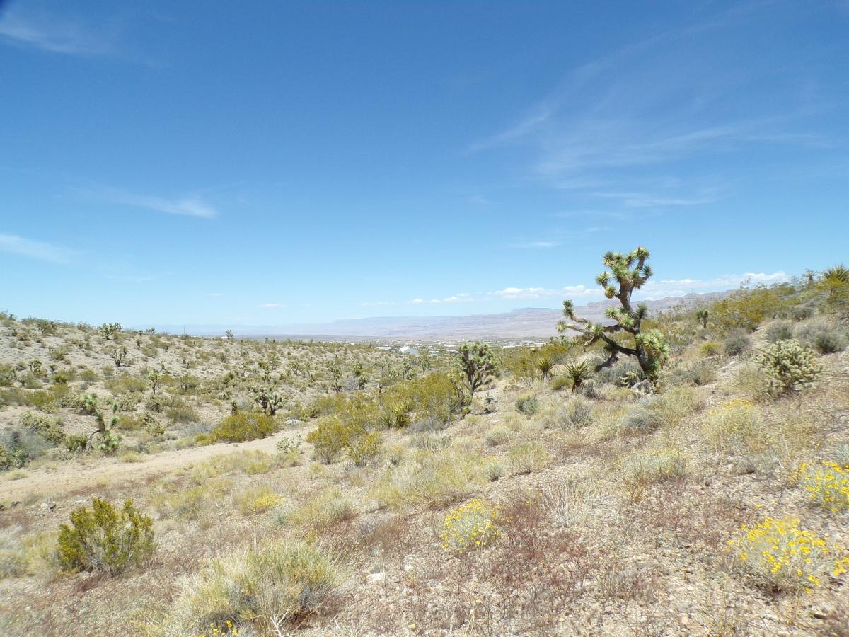 2 Acres for Sale in Meadview, Arizona