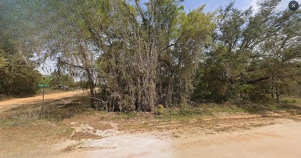 0.30 Acres for Sale in Interlachen, Florida