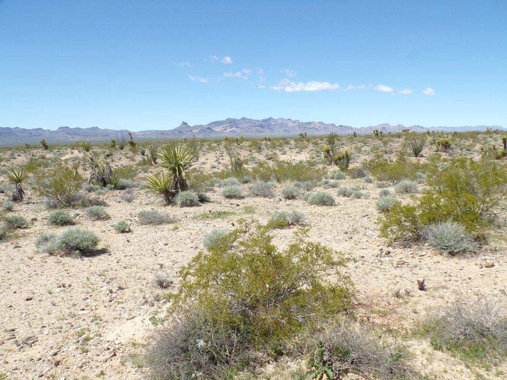 2.5 Acres for Sale in Drake, Arizona