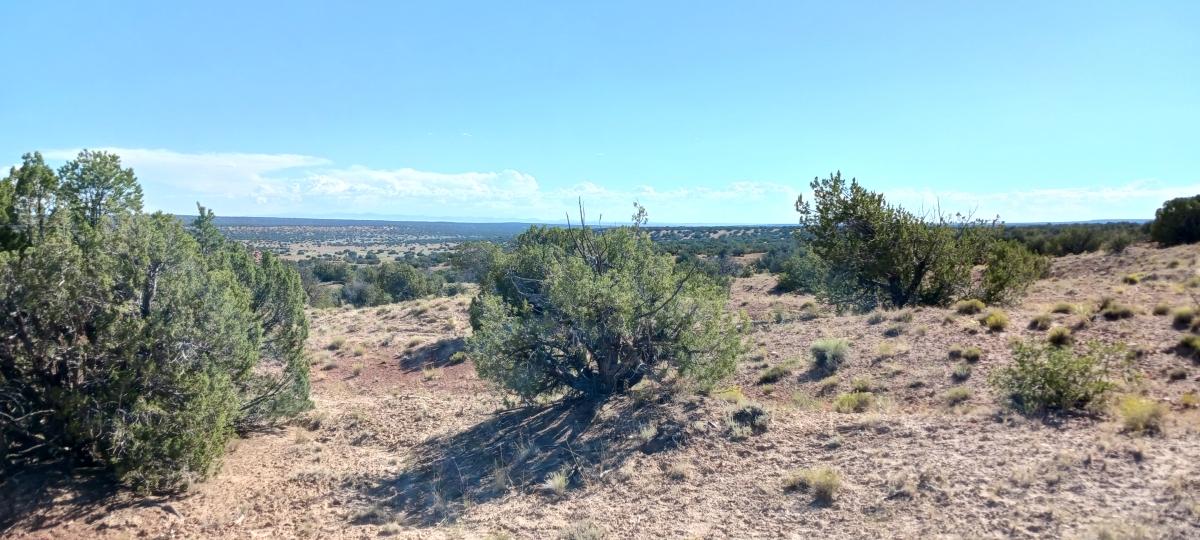 10.00 Acres for Sale in Sanders, Arizona