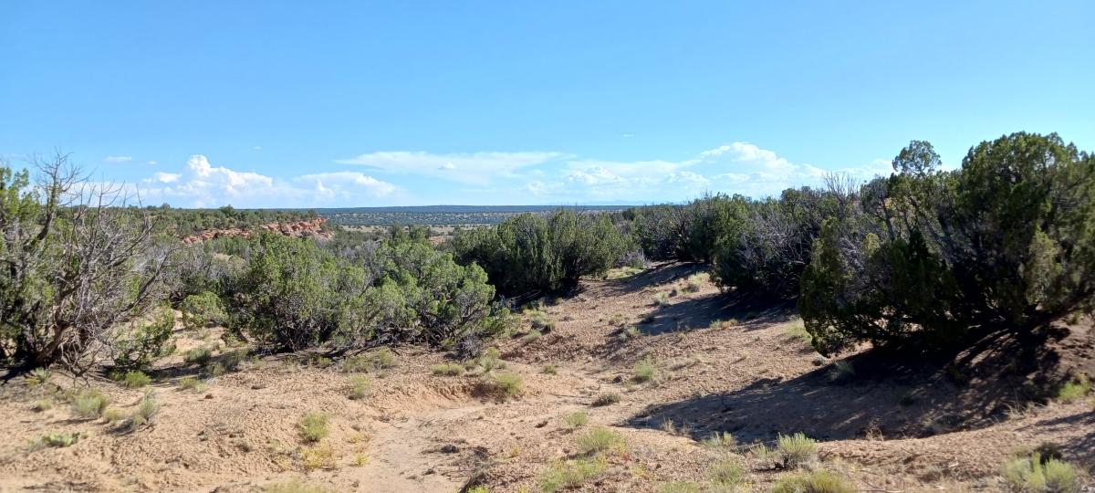 10.00 Acres for Sale in Sanders, Arizona