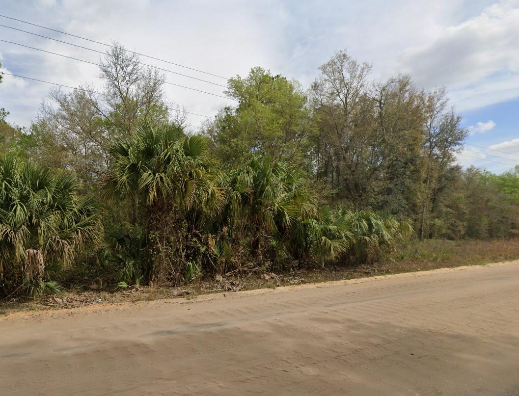 0.22 Acres for Sale in Interlachen, Florida