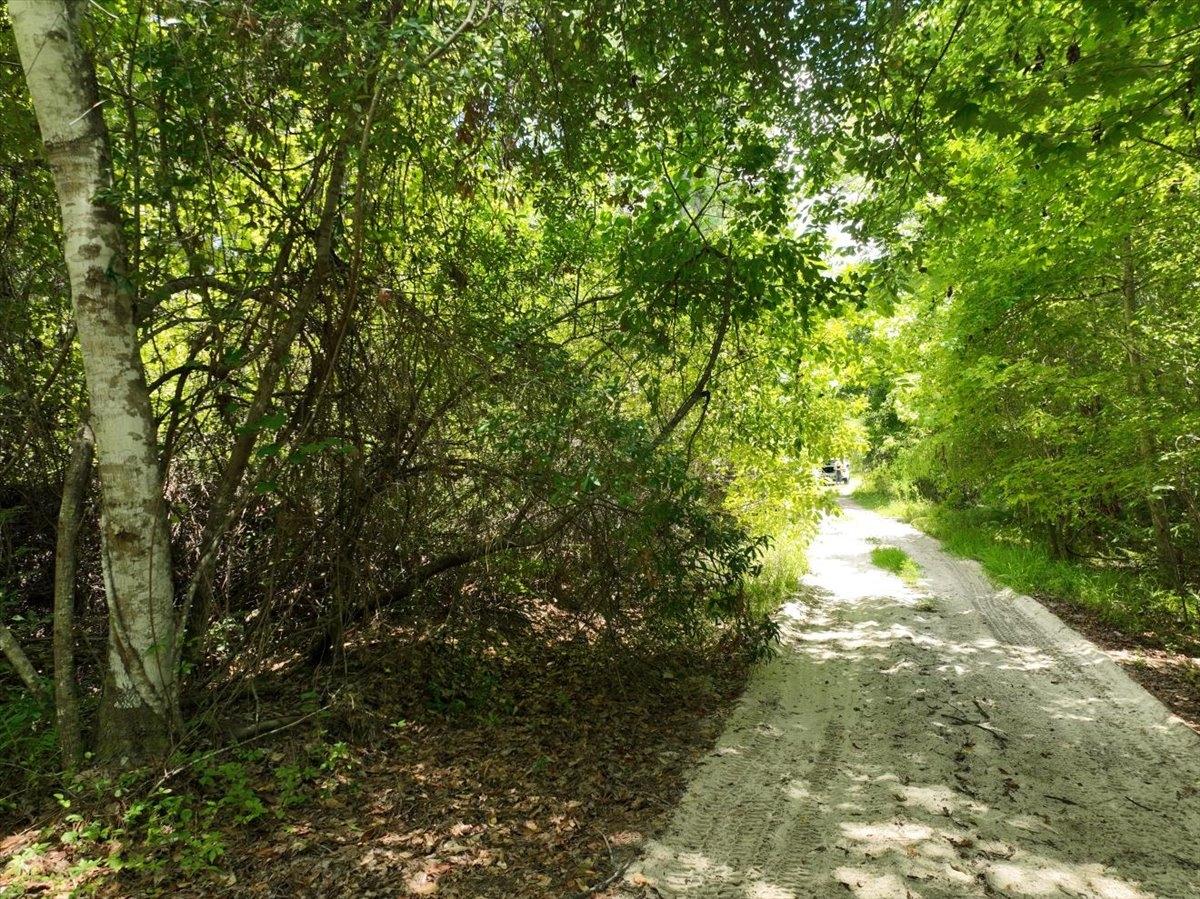 0.34 Acres for Sale in Florahome, Florida