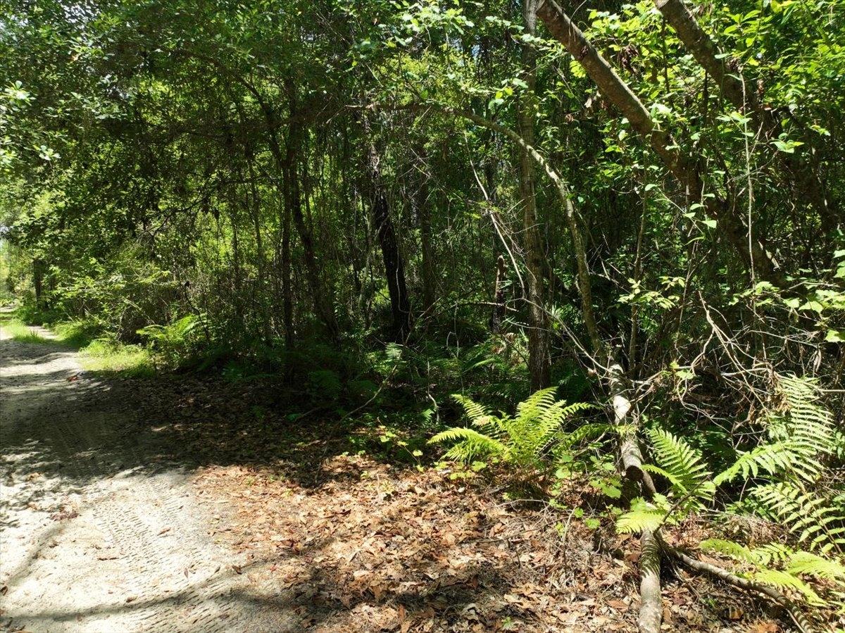 0.34 Acres for Sale in Florahome, Florida