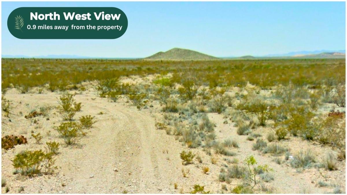 0.23 Acres for Sale in El Paso, Texas