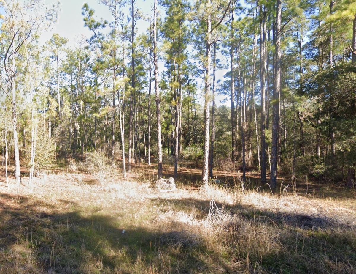 0.9 Acres for Sale in Webster, Florida