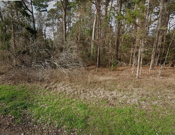 0.31 Acres for Sale in Bullard, Texas