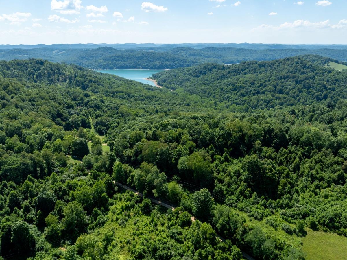 9.13 Acres for Sale in Grafton, West Virginia