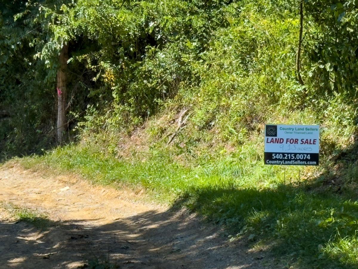 9.13 Acres for Sale in Grafton, West Virginia