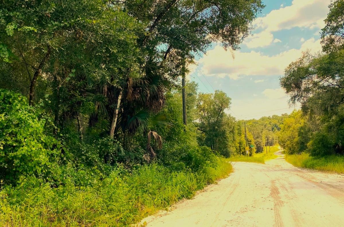 0.31 Acres for Sale in Pomona Park, Florida