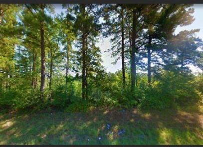0.21 Acres for Sale in Avinger, Texas