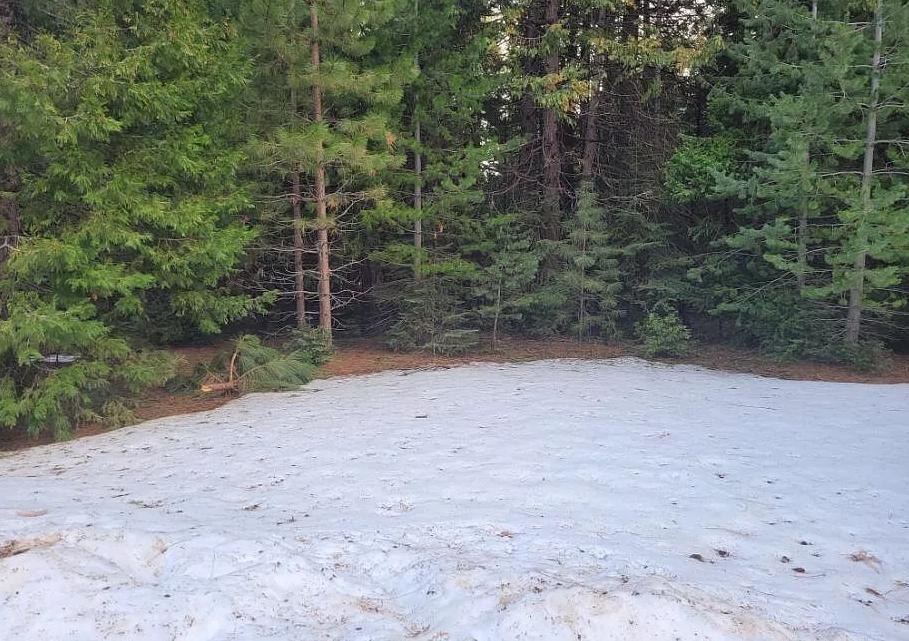 0.51 Acres for Sale in Shingletown, California