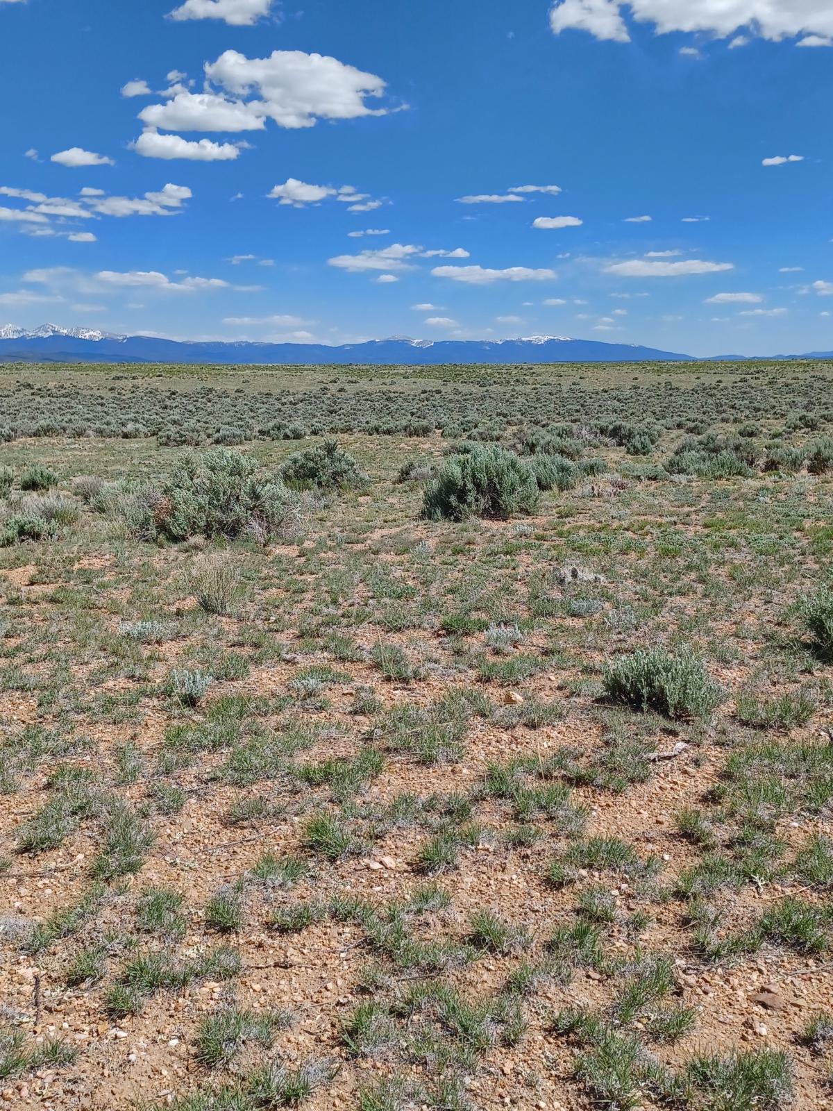 4.9 Acres for Sale in San Luis, Colorado