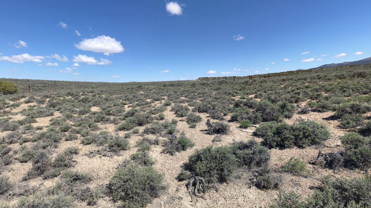 10 Acres for Sale in Montello, Nevada