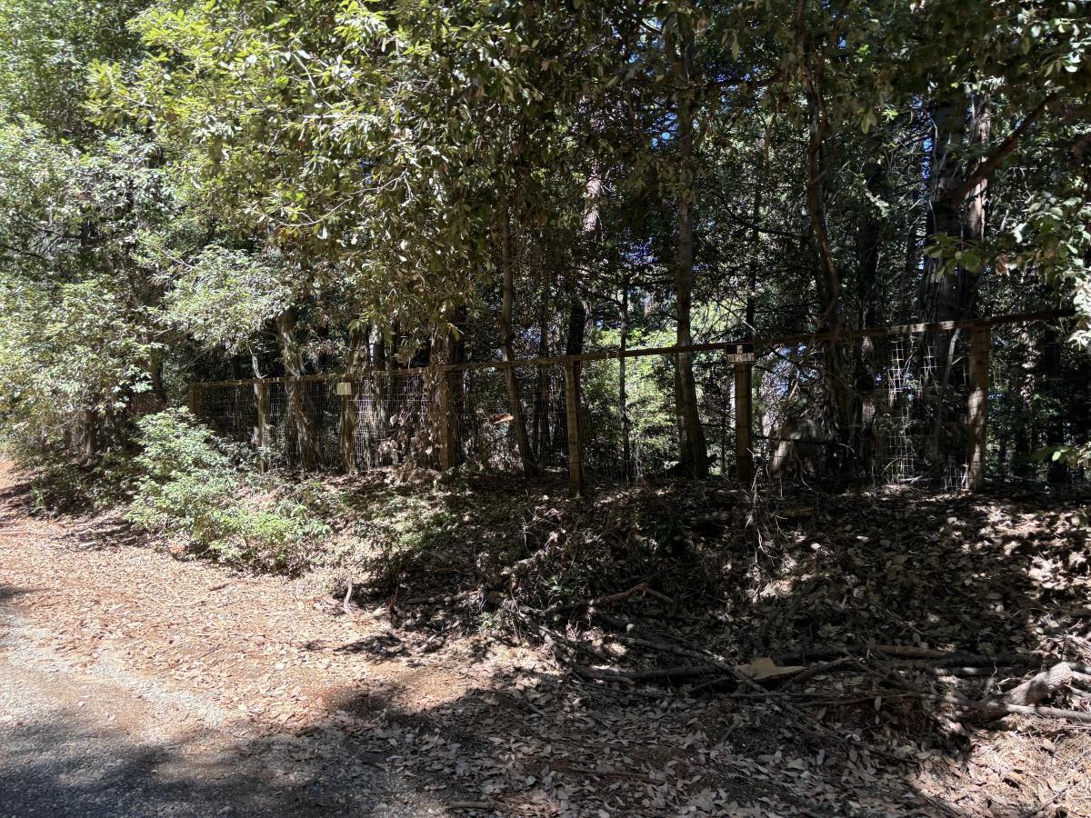 1.42 Acres for Sale in Camptonville, CA, California