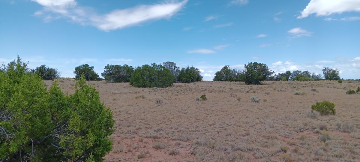 1.24 Acres for Sale in St Johns, Arizona