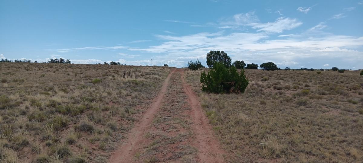 1.24 Acres for Sale in St Johns, Arizona
