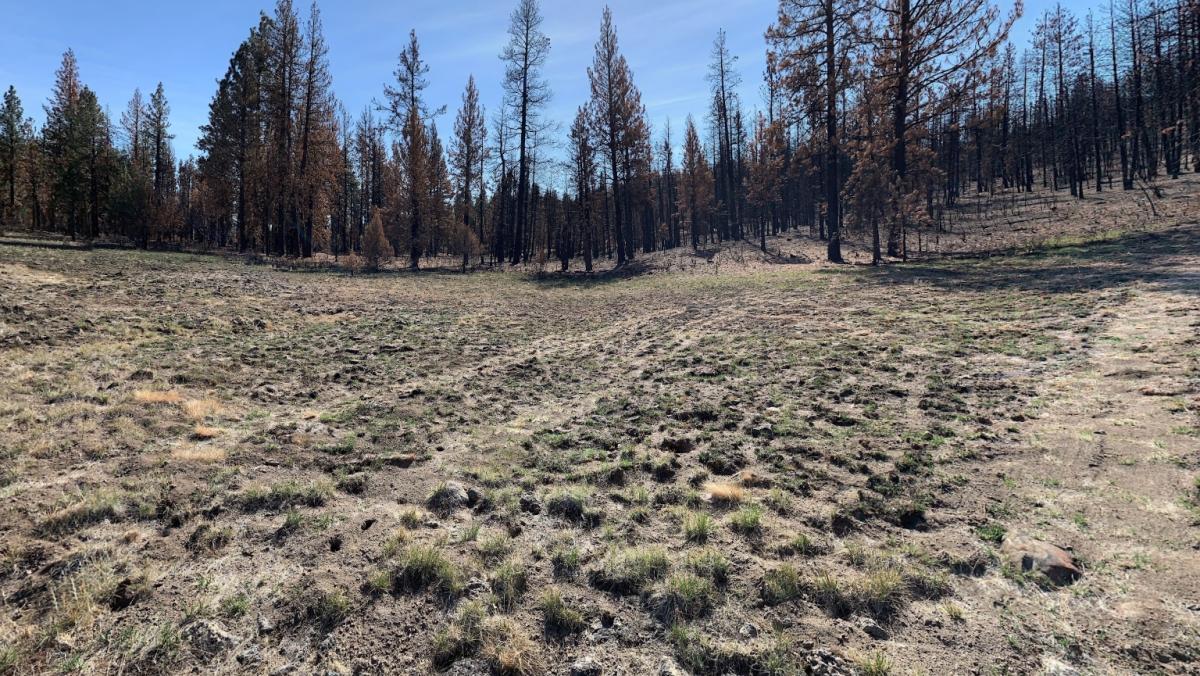 3.16 Acres for Sale in Sprague River, Oregon