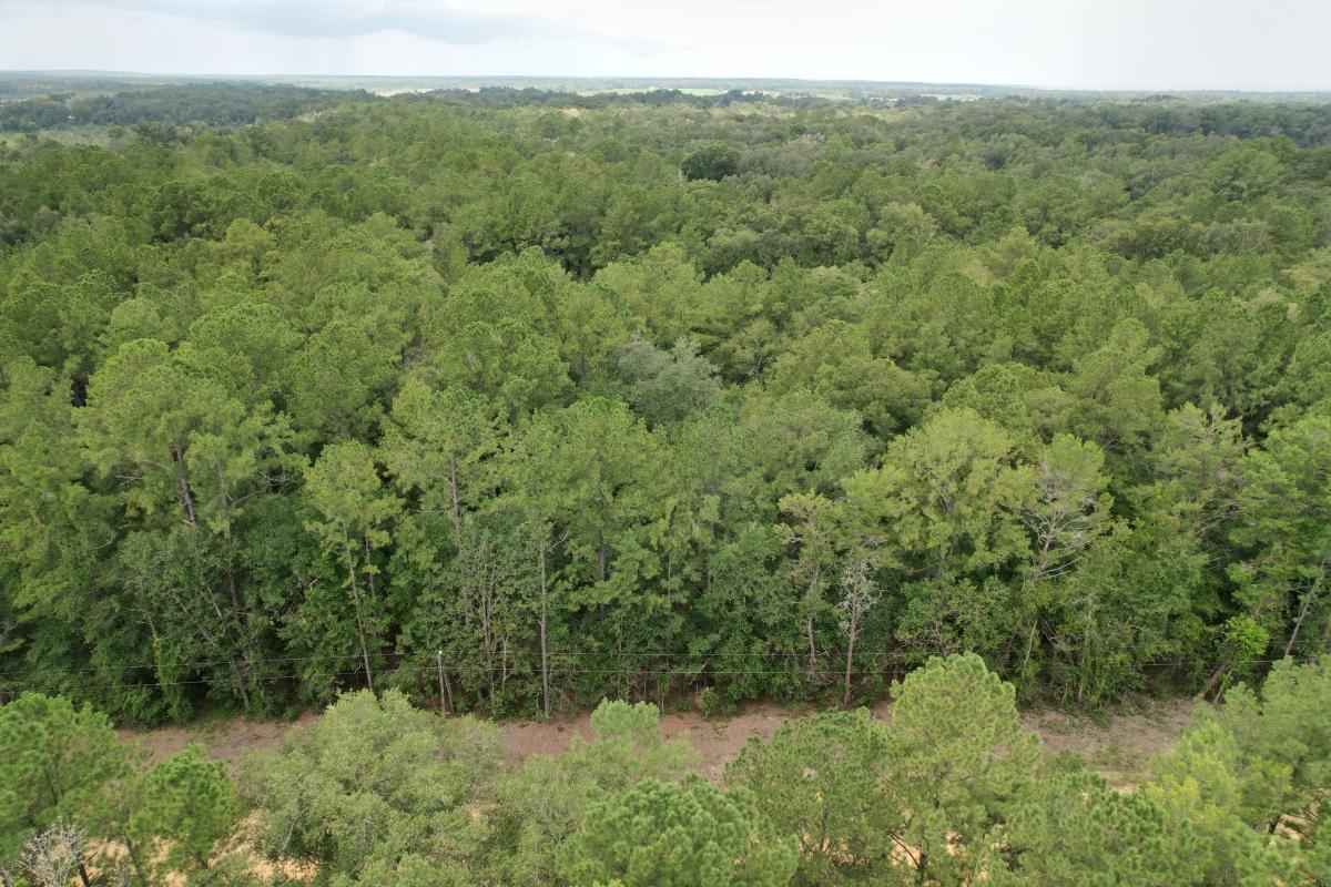 0.22 Acres for Sale in Interlachen, Florida