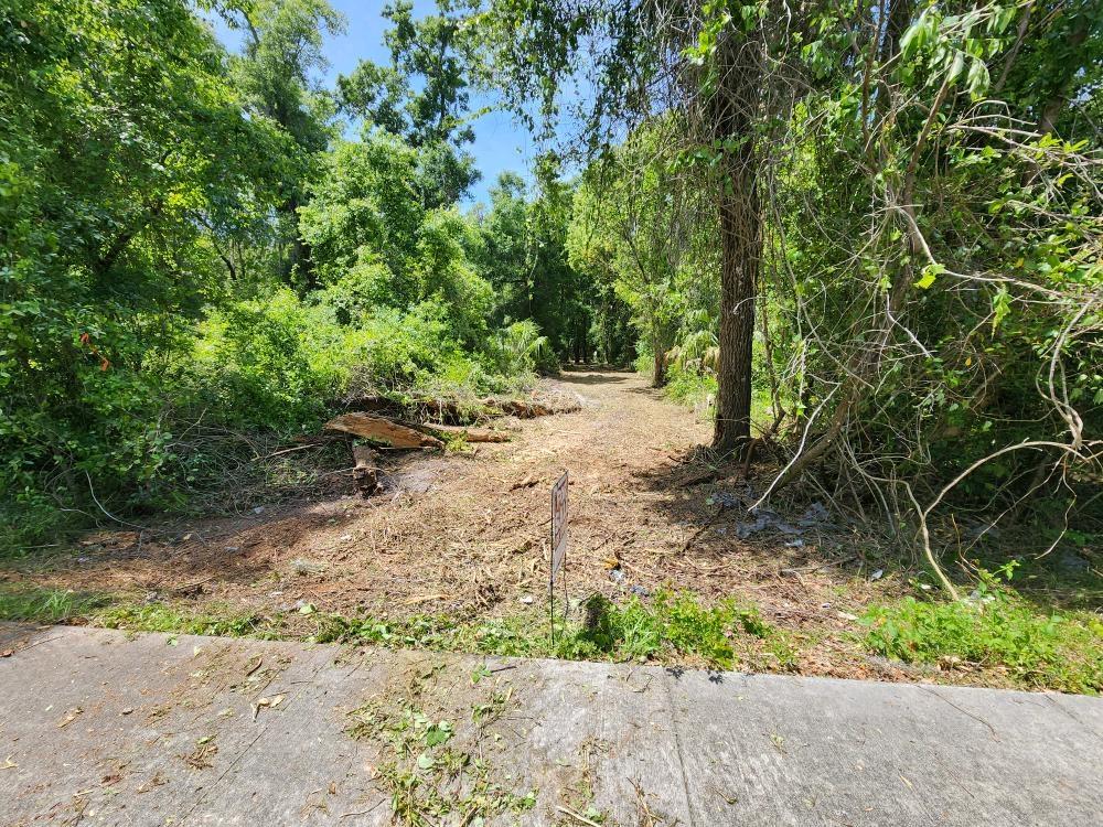 3.1 Acres for Sale in Orange City, Florida