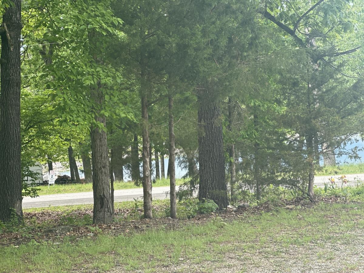 0.31 Acres for Sale in Horseshoe Bend, Arkansas