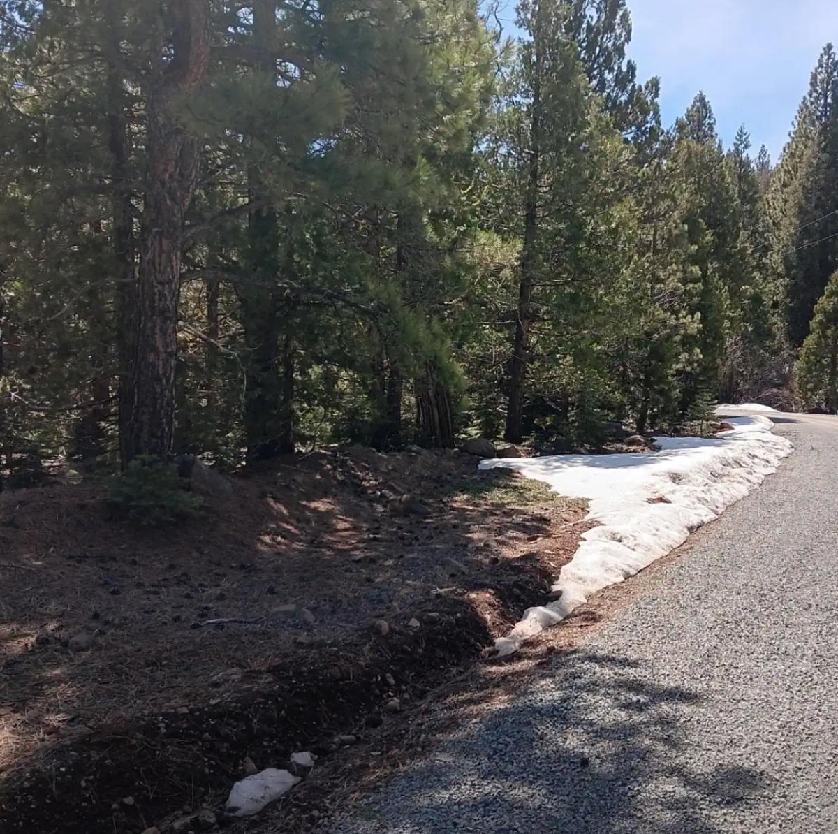 0.92 Acres for Sale in California Pines, California
