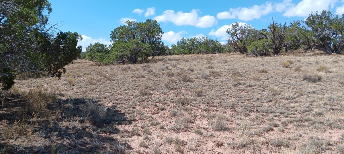 4.64 Acres for Sale in Chambers, Arizona