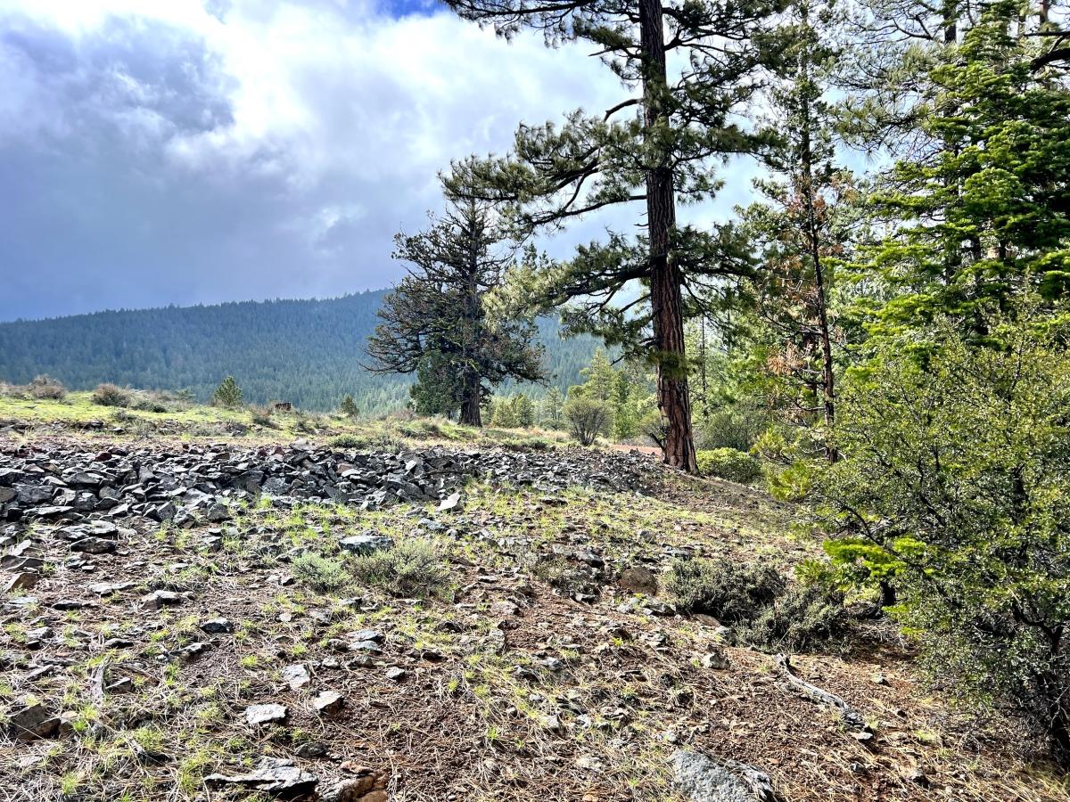1 Acres for Sale in California Pines, California