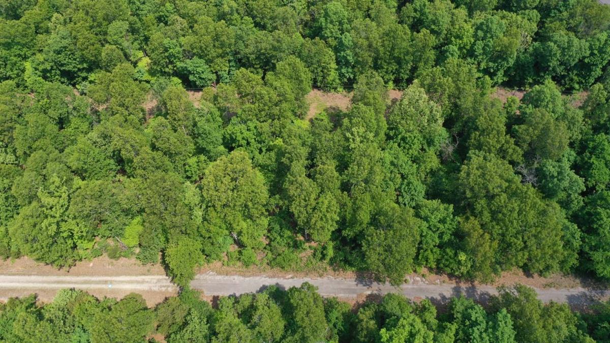 0.66 Acres for Sale in Horseshoe Bend, Arkansas