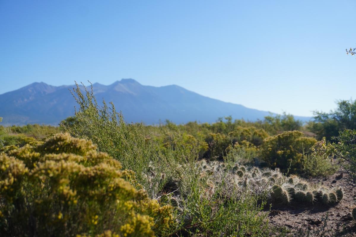 1.27 Acres for Sale in Alamosa, Colorado