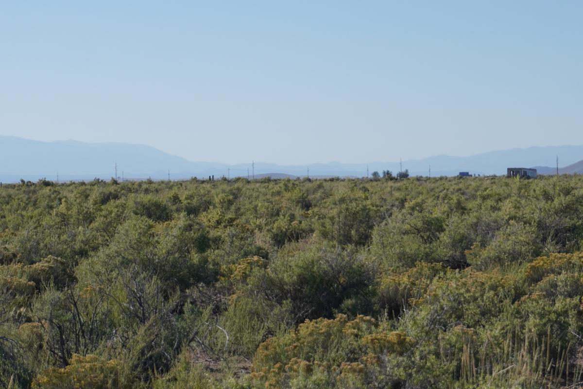 1.27 Acres for Sale in Alamosa, Colorado
