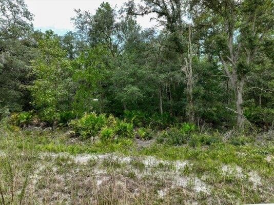 0.22 Acres for Sale in Interlachen, Florida