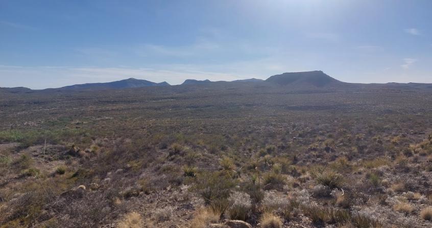 10.65 Acres for Sale in Mile High, Texas