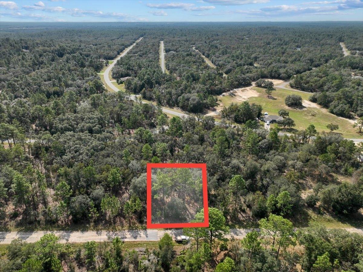 0.23 Acres for Sale in Citrus Springs, Florida