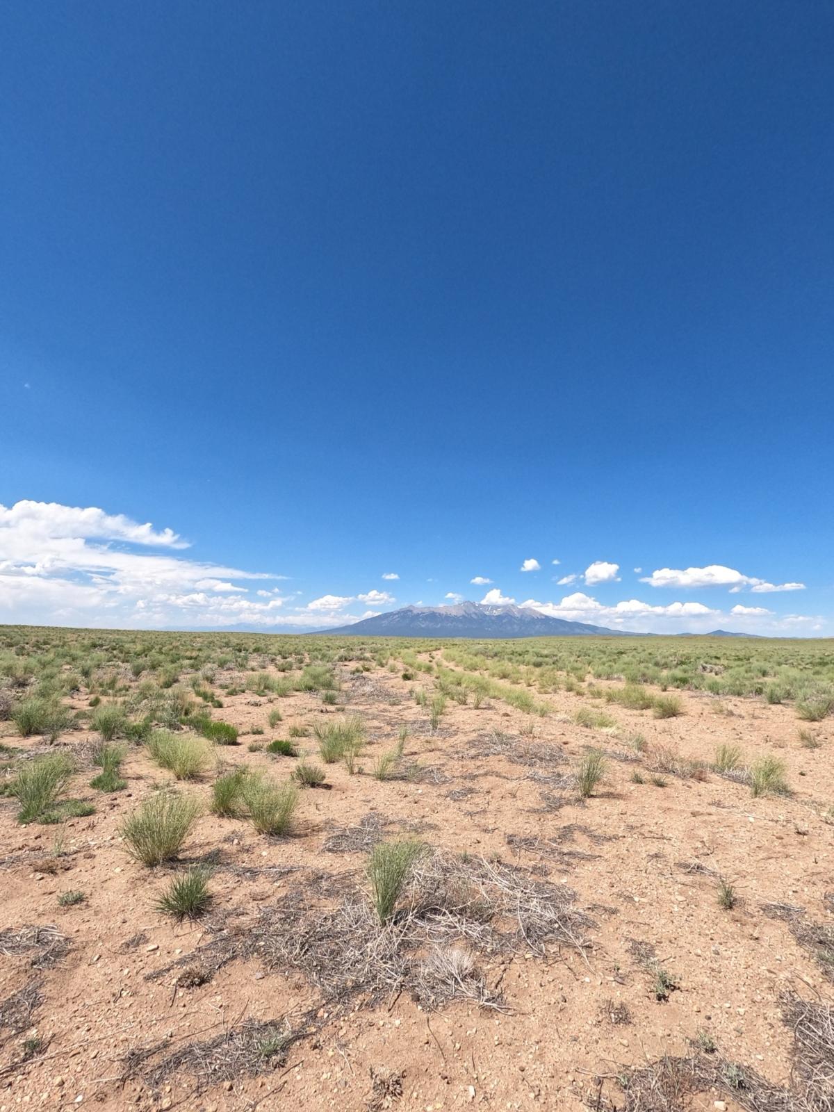 5.39 Acres for Sale in Blanca, Colorado