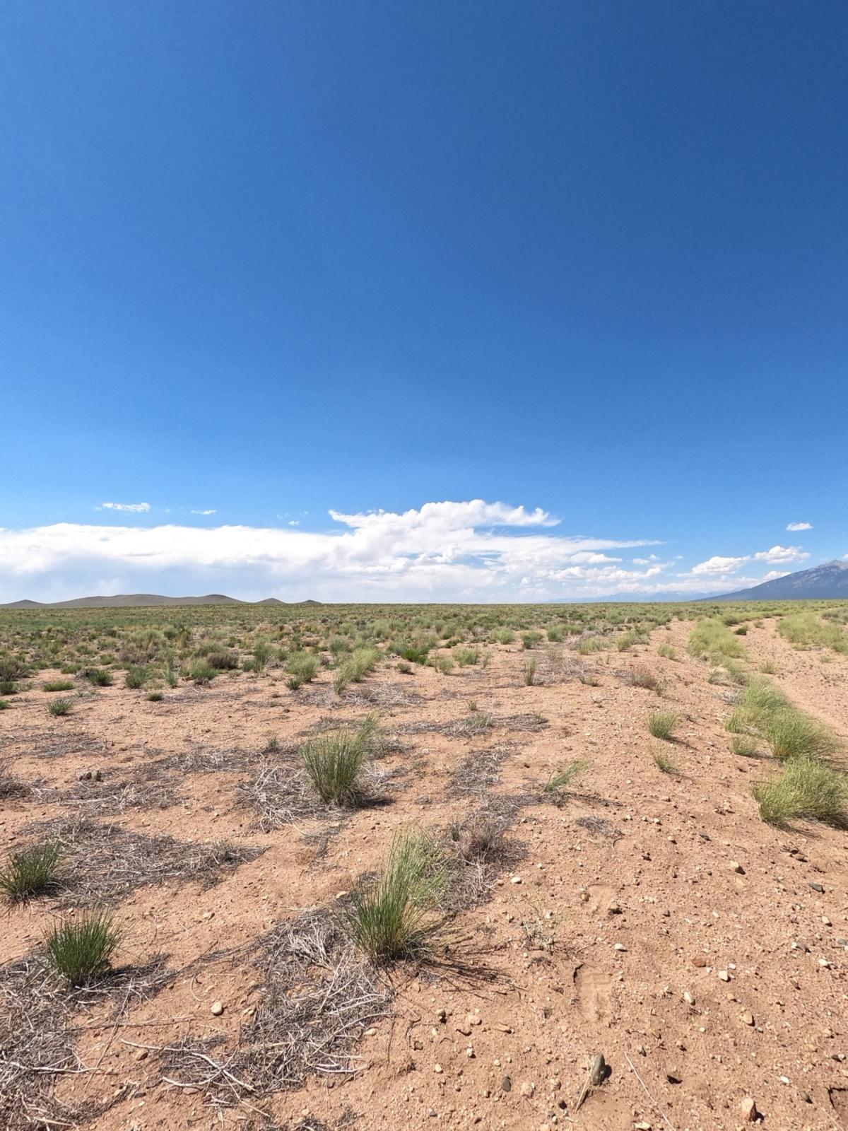5.39 Acres for Sale in Blanca, Colorado