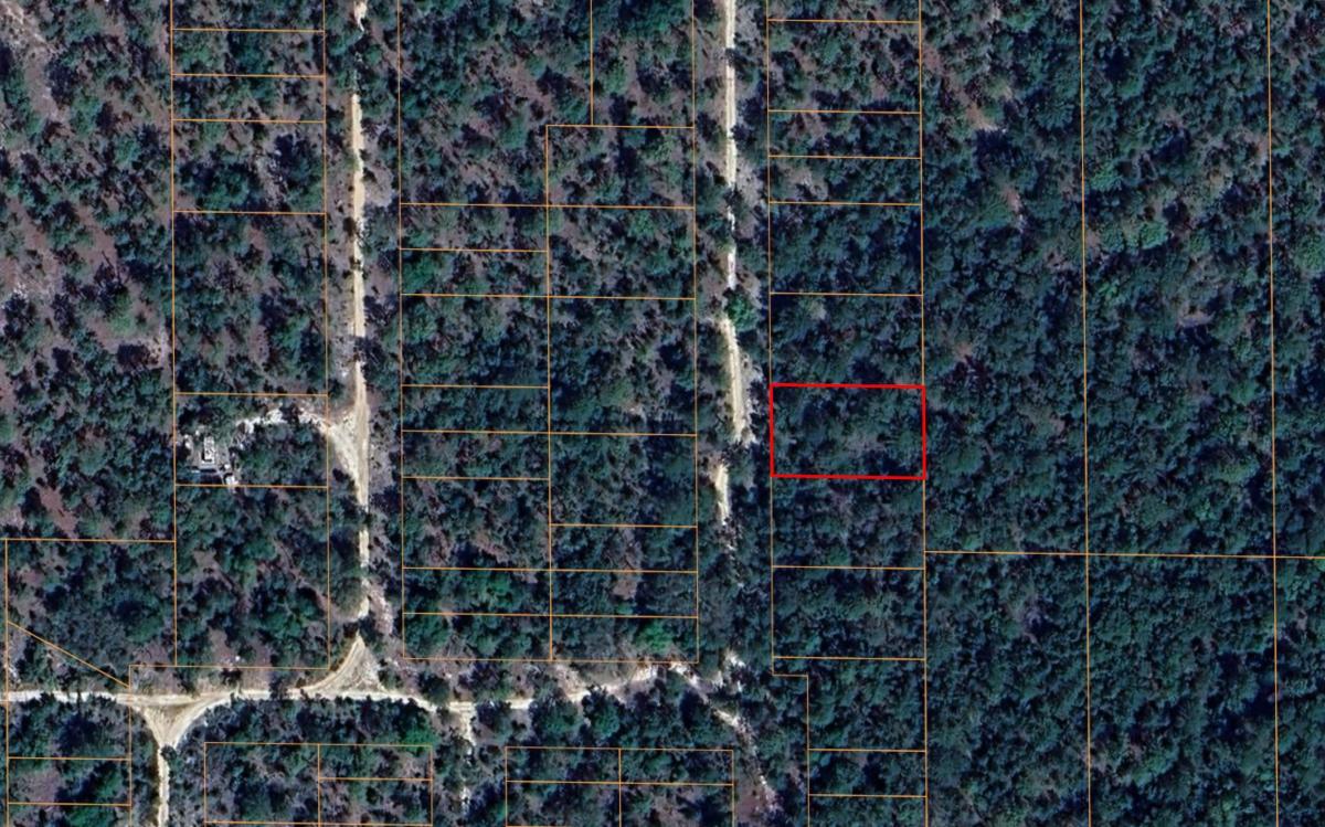 0.25 Acres for Sale in Hawthorne, Florida