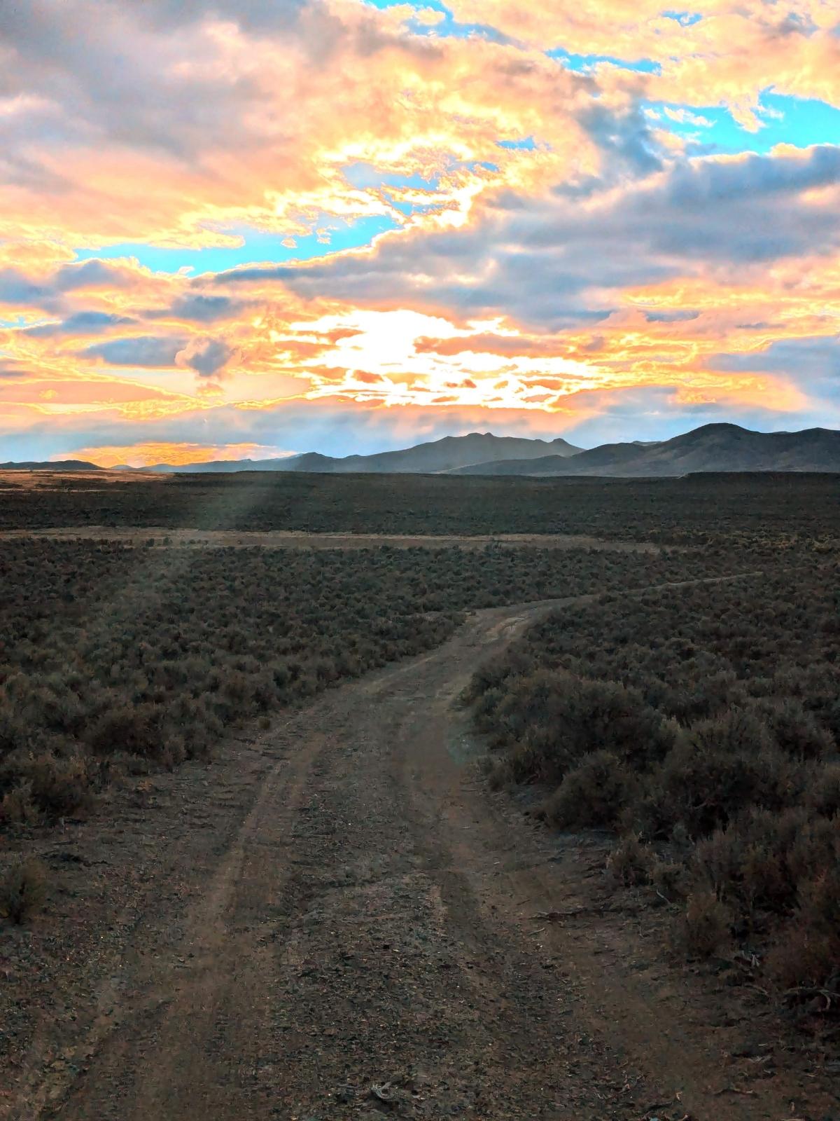 20 Acres for Sale in Ryndon, Nevada