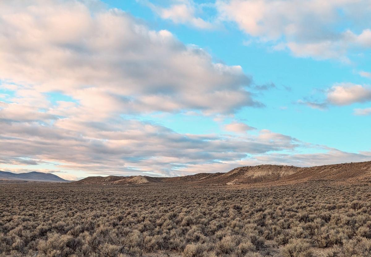 20 Acres for Sale in Ryndon, Nevada