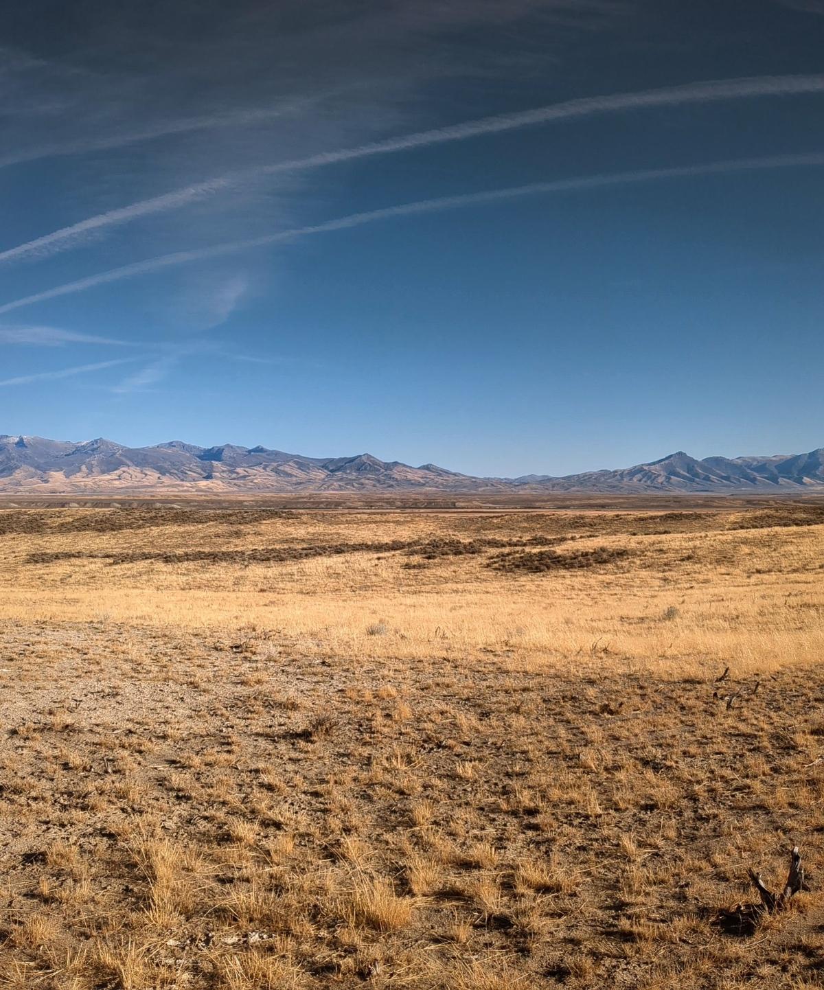 40 Acres for Sale in Halleck, Nevada