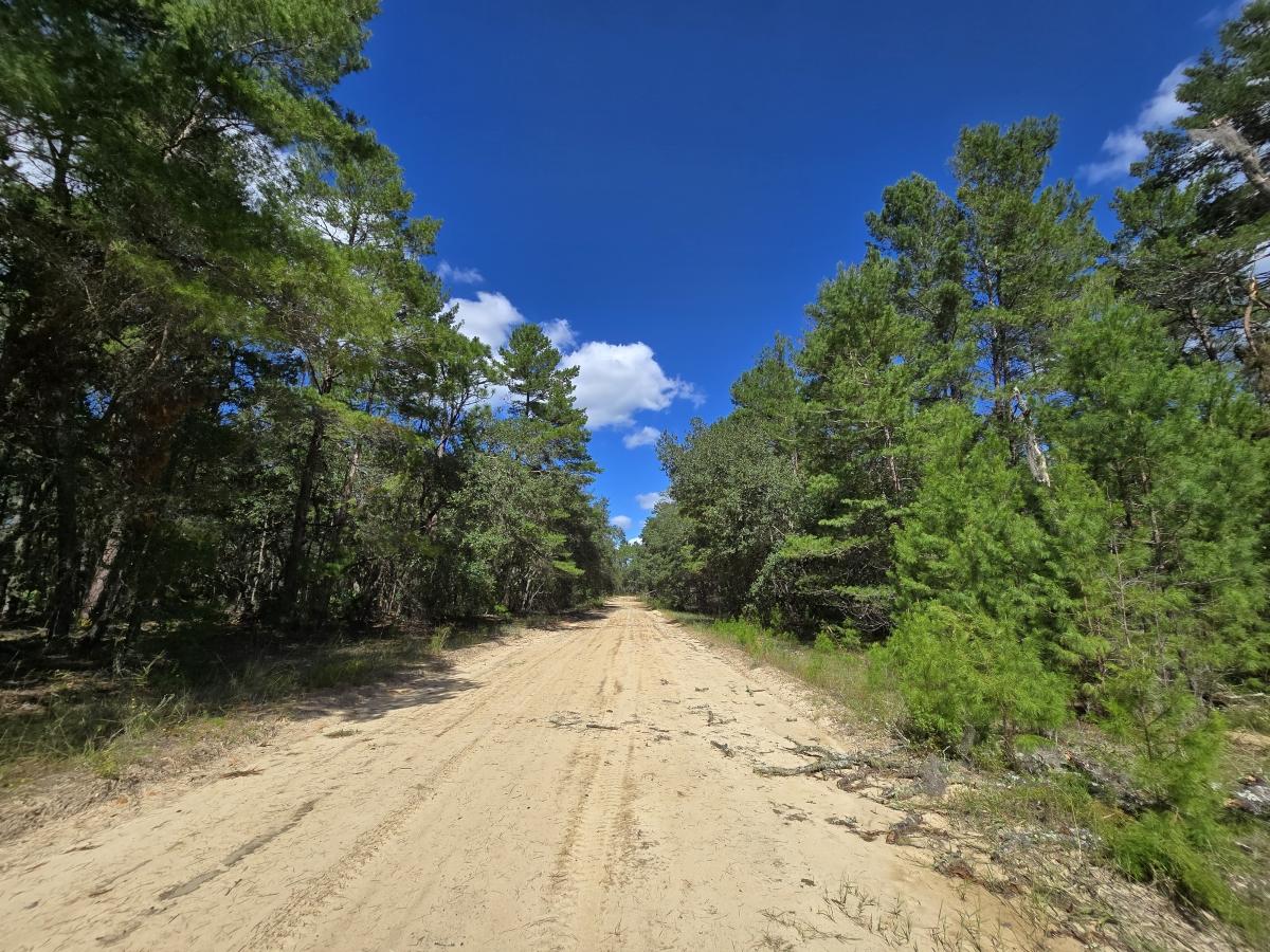 0.22 Acres for Sale in Interlachen, Florida