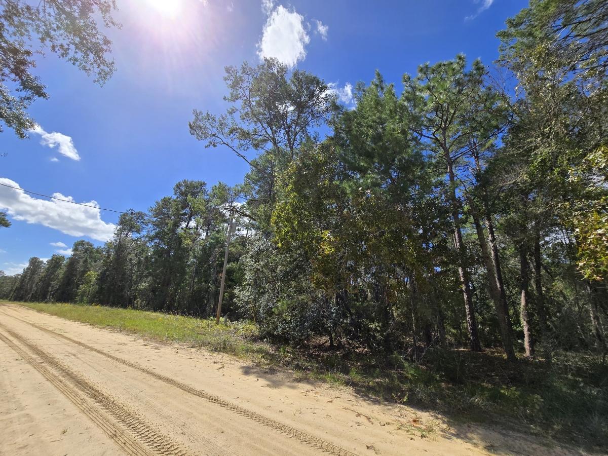 0.22 Acres for Sale in Interlachen, Florida