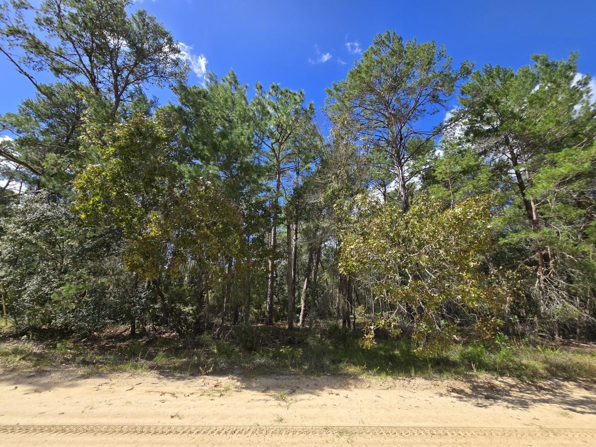 0.22 Acres for Sale in Interlachen, Florida