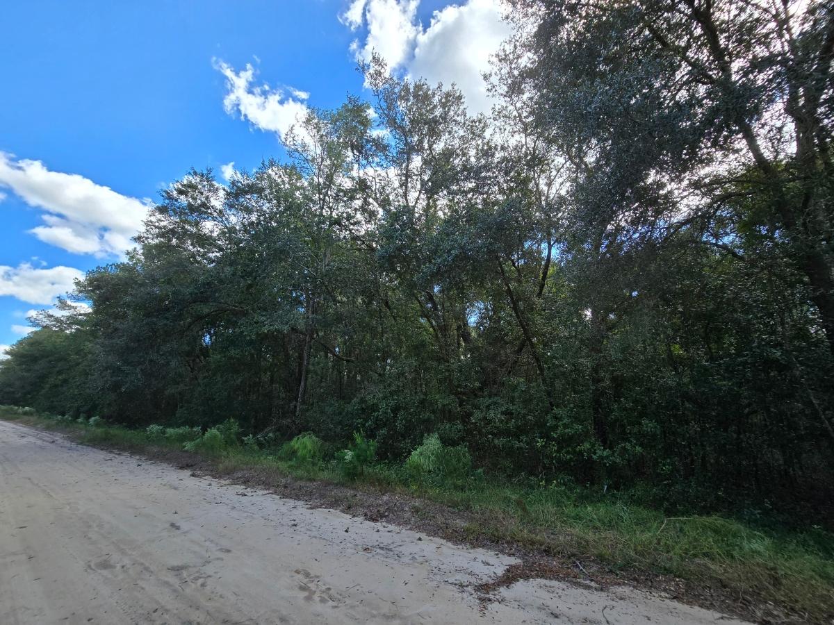 0.65 Acres for Sale in Interlachen, Florida
